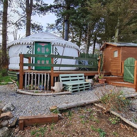 The Tall Pines Yurt Helmsdale Eksteriør bilde