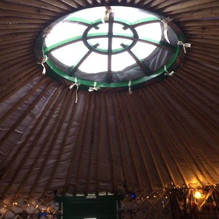 The Tall Pines Yurt Helmsdale Eksteriør bilde