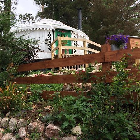 The Tall Pines Yurt Helmsdale Eksteriør bilde