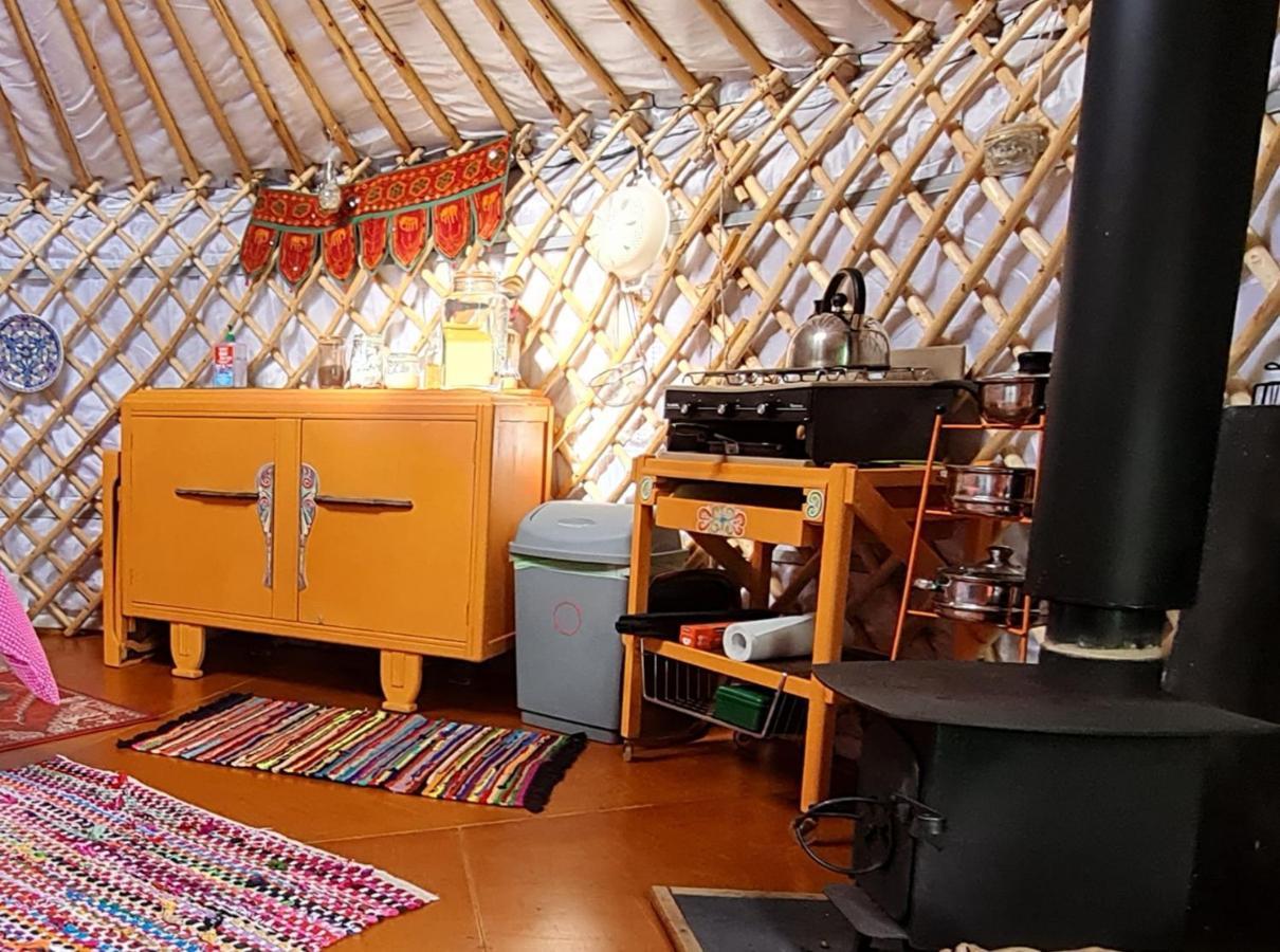 The Tall Pines Yurt Helmsdale Eksteriør bilde