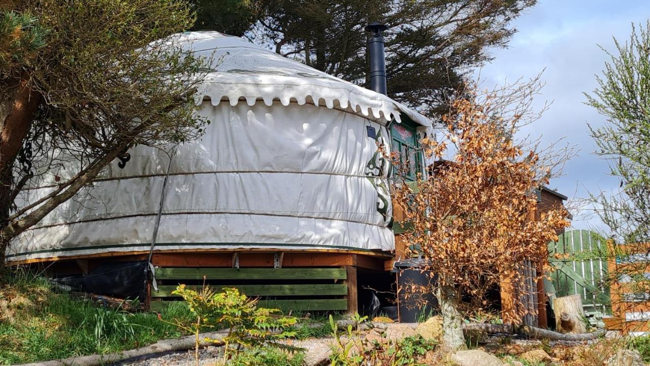 The Tall Pines Yurt Helmsdale Eksteriør bilde