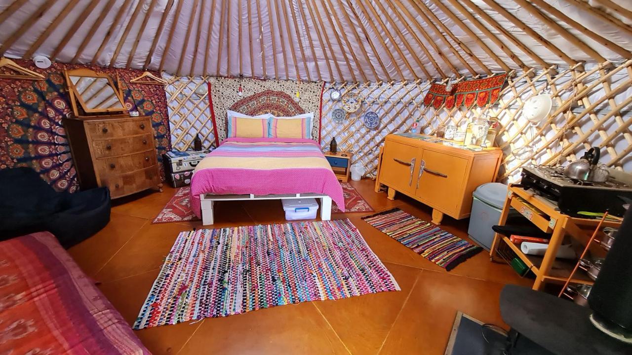 The Tall Pines Yurt Helmsdale Eksteriør bilde