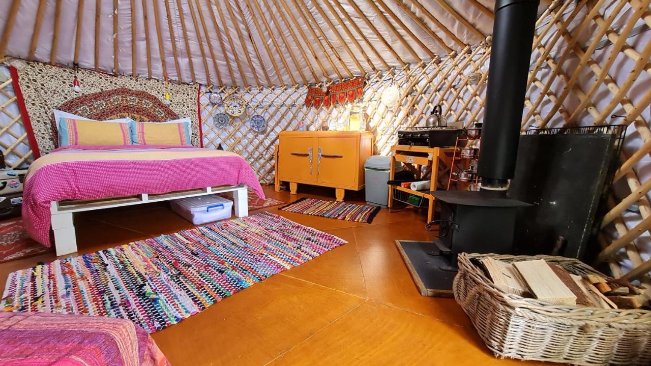 The Tall Pines Yurt Helmsdale Eksteriør bilde