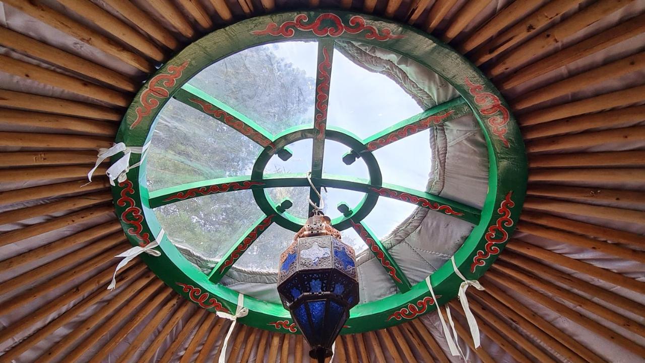 The Tall Pines Yurt Helmsdale Eksteriør bilde