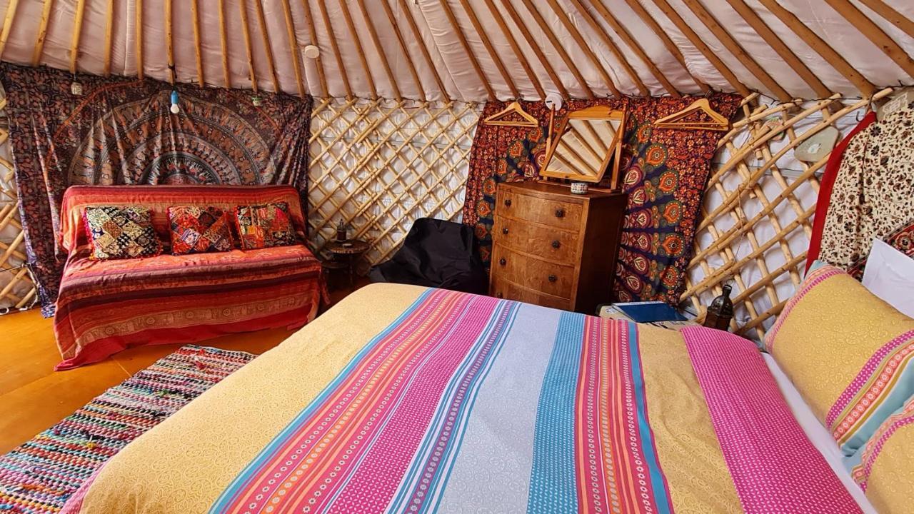 The Tall Pines Yurt Helmsdale Eksteriør bilde