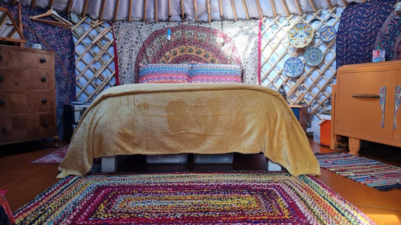 The Tall Pines Yurt Helmsdale Eksteriør bilde