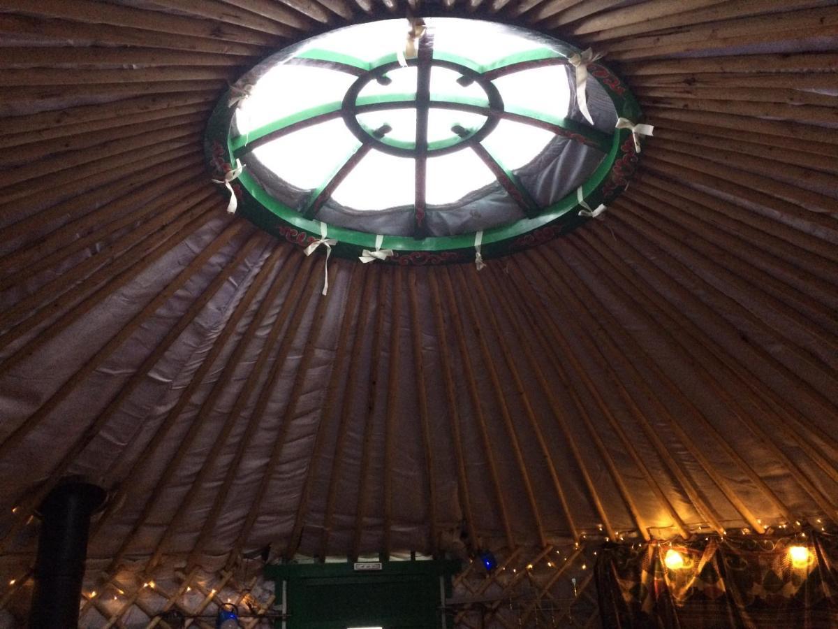 The Tall Pines Yurt Helmsdale Eksteriør bilde